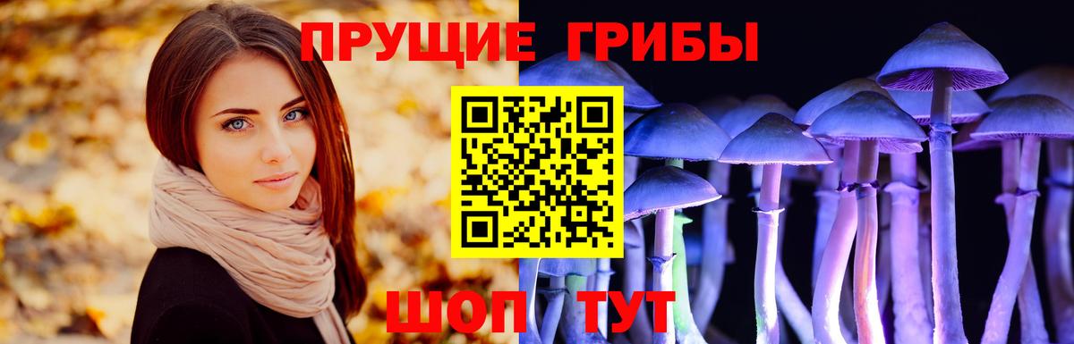 Галлюциногенные грибы прущие грибы Ревда